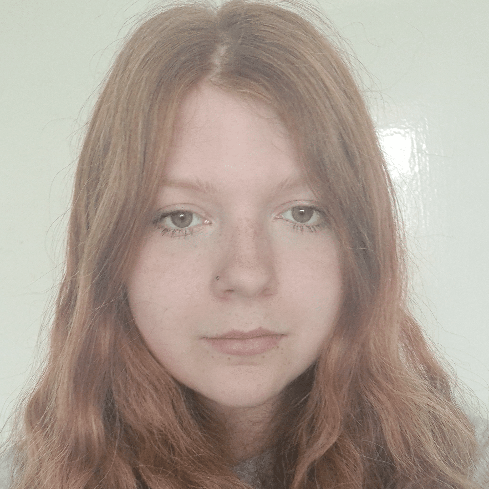 CEO Lita-Louise Gardner, Project EDI